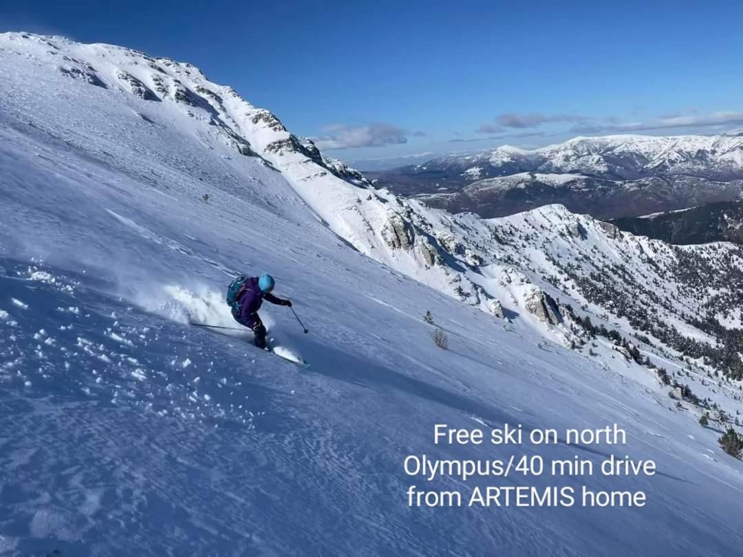 Artemis Home Pétra Exteriör bild